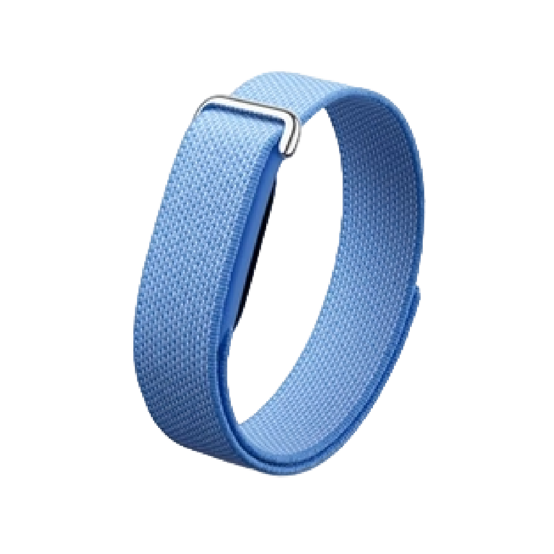 Google Fitbit Air tracker | Lavender