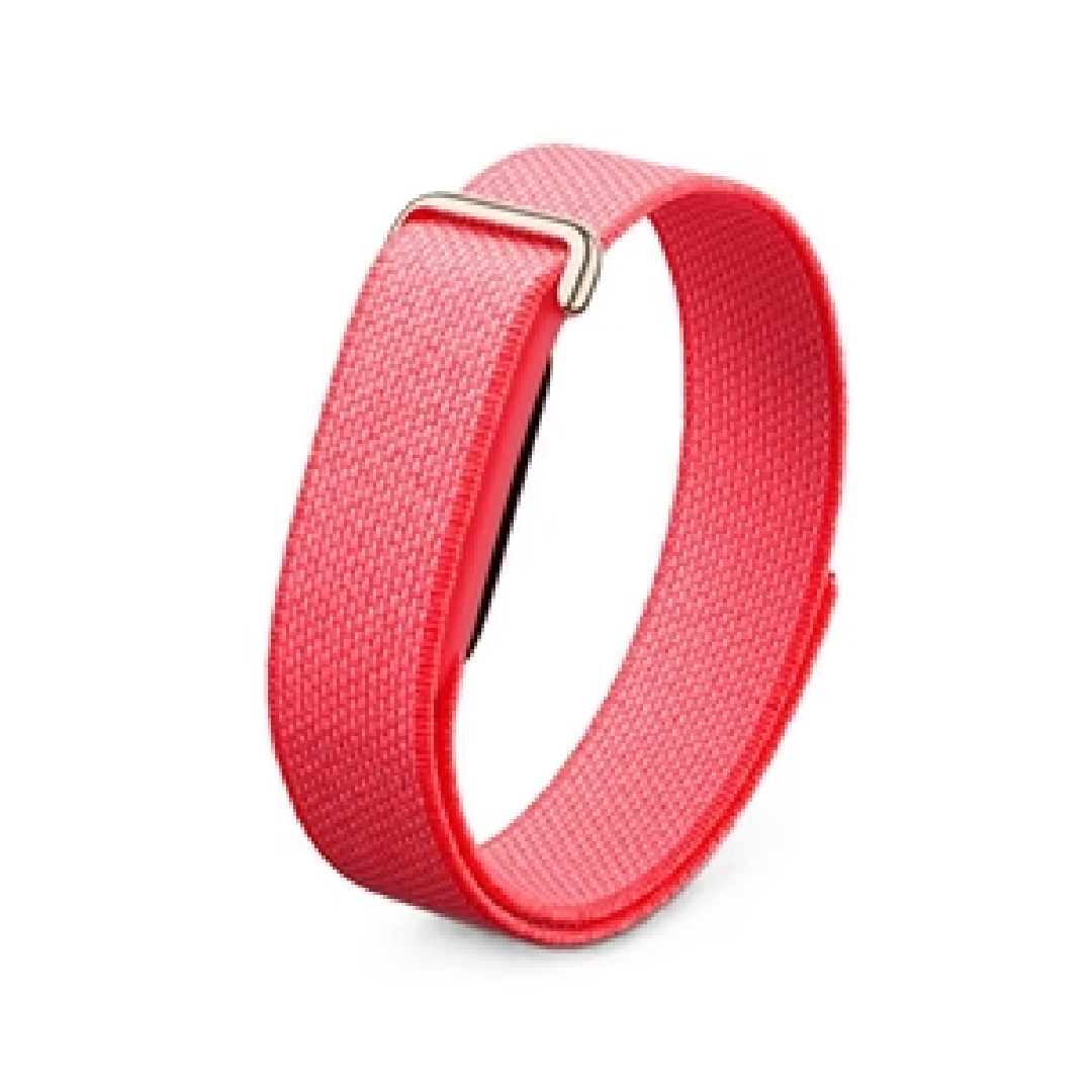 Google Fitbit Air tracker | Berry