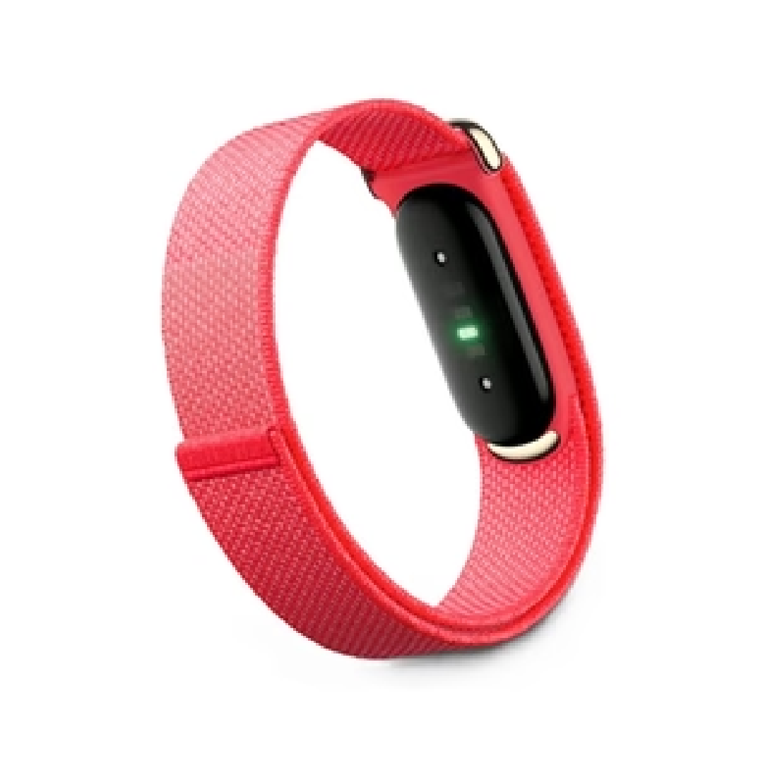 Google Fitbit Air tracker | Berry